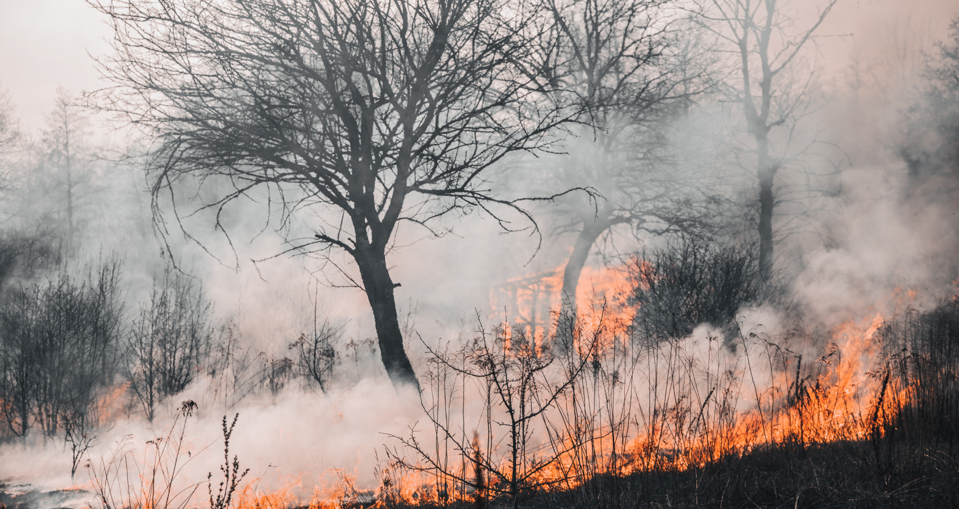 Incendies en Gironde : le réseau Unapei solidaire